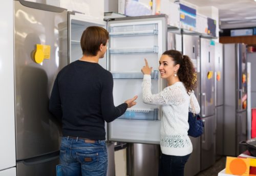 Какой холодильник выбрать: с фреоном или изобутаном?
